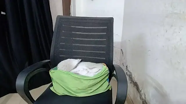 sexy vani1 online show from 03/10/26, 06:46