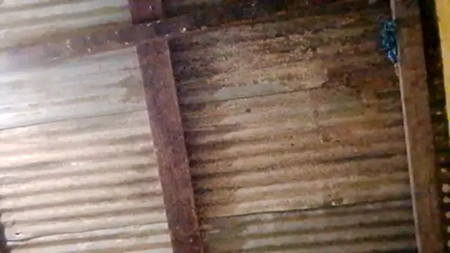 LULE37587001 online show from 02/20/26, 11:05