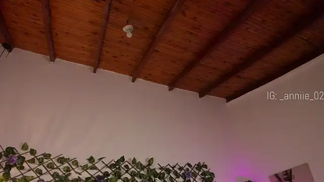 annie barozzi online show from 01/23/25, 01:35