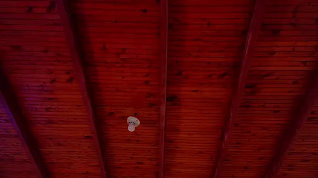 annie barozzi online show from 10/18/25, 01:23