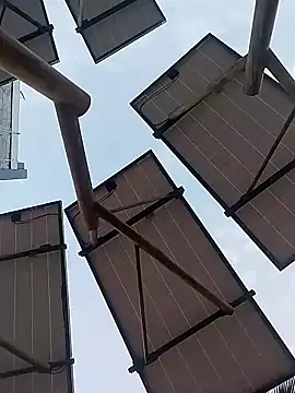 sagrado 1989 online show from 01/17/26, 12:37