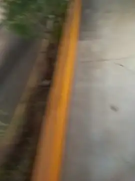 sagrado 1989 online show from 02/08/26, 01:31