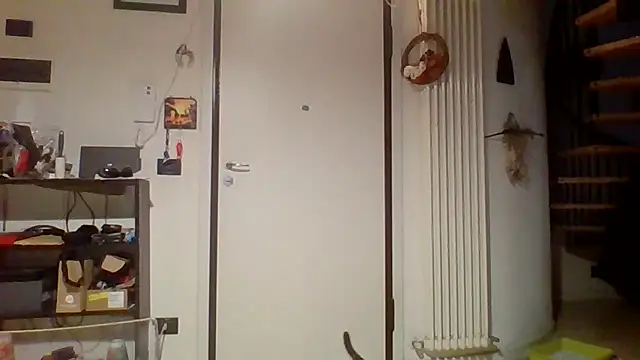 woww791 online show from 03/25/26, 09:54