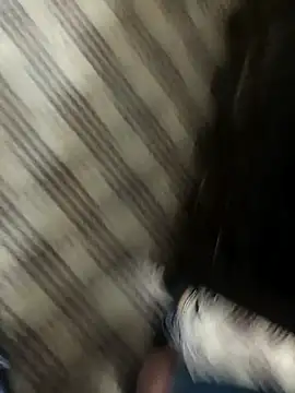 hotdickhow online show from 03/08/25, 03:35