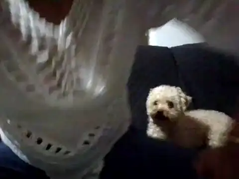 RAYA 1 online show from 02/02/25, 12:51