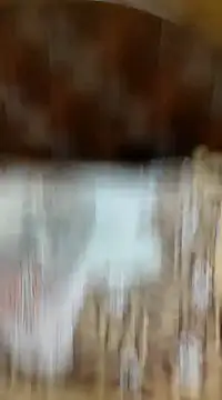 Snapshot of Ansh731989 chatting on 01/29/25, 05:45 Ansh731989 online show from 01/29/25, 05:45