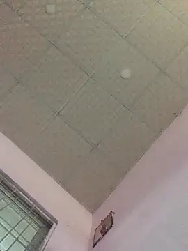 Hullax online show from 11/01/25, 01:07