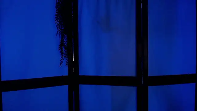 Snapshot of Wildorchid_ chatting on 12/02/24, 04:53 Wildorchid online show from 12/02/24, 04:53