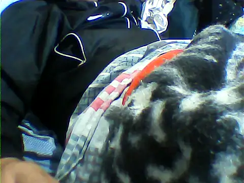 messi syssy online show from 09/25/25, 08:34