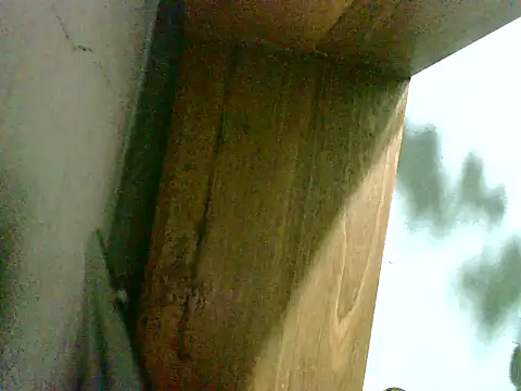 2ocmaxi online show from 03/08/26, 02:04