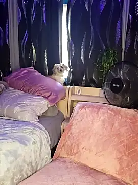 SexyNikki6969 online show from 03/31/26, 09:59