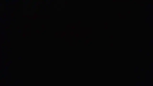 mrdago2 online show from 12/13/25, 11:43