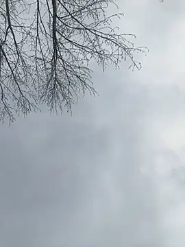 Iceblanca online show from 03/19/25, 09:58