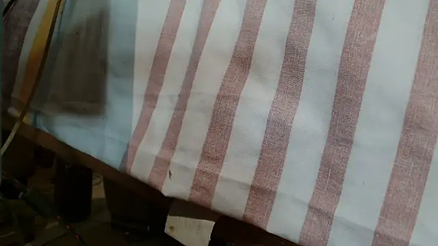 Vanessa117 online show from 01/10/26, 06:31