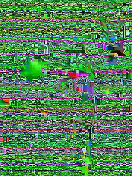 Snapshot of eva_six chatting on 12/20/24, 06:45 eva six online show from 12/20/24, 06:45