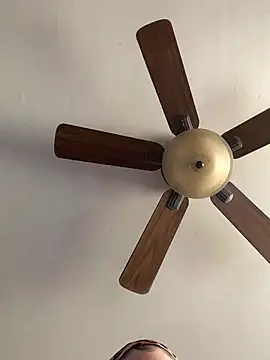 QueenNuttCollector online show from 04/12/26, 06:13