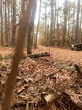 Themechanic420 online show from 12/14/24, 07:14