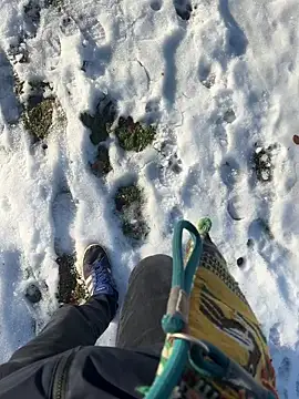 Mrbighardcock online show from 01/14/26, 10:21