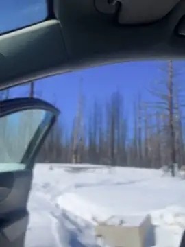 GoldenFlameGoddess online show from 03/06/25, 07:54