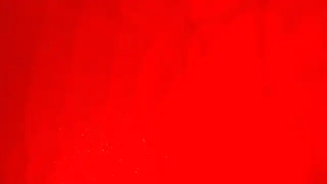 KarimaSarabe online show from 11/28/25, 09:17