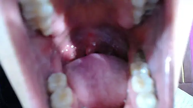 Chanel-24 online show from 01/03/25, 05:17