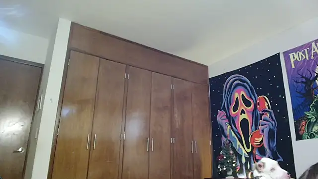 MINI Petite online show from 12/15/25, 05:50