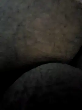 Mallupaiyanaachu online show from 02/03/25, 04:31