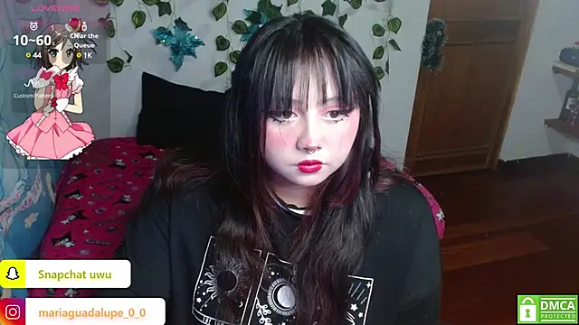 litlle cat online show from 01/14/25, 05:30