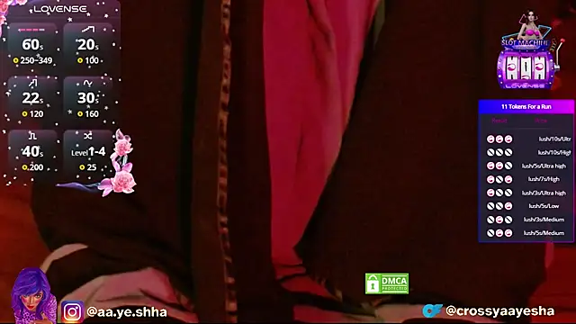 CrossyAayesha online show from 11/25/25, 04:40