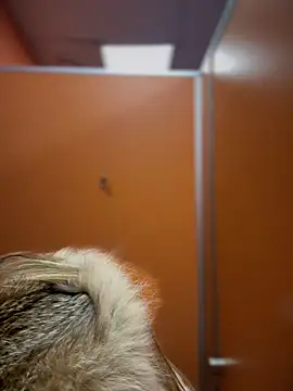 pinkstar  online show from 02/24/25, 09:10