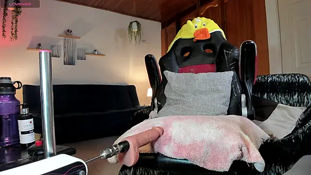 Jacon cruz  online show from 05/17/26, 01:58