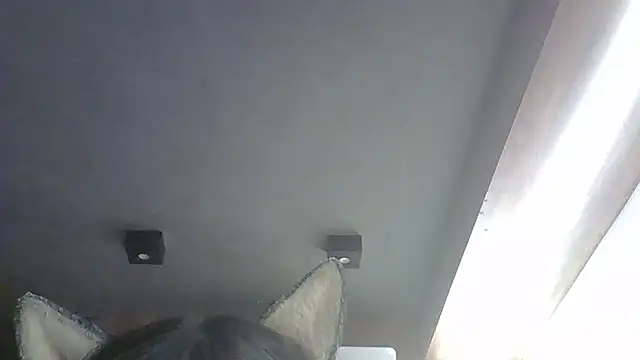 Skinny-Kitten online show from 01/19/26, 07:23