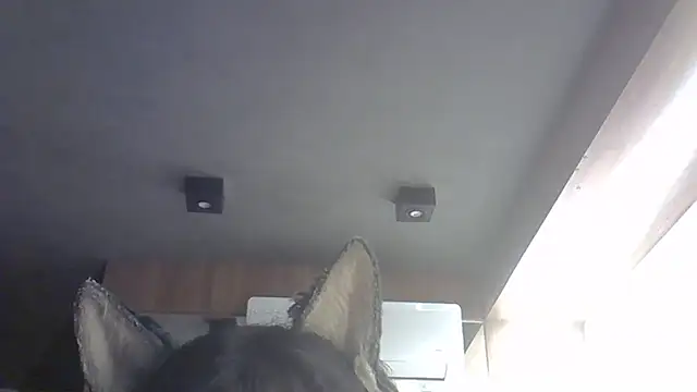 Skinny-Kitten online show from 02/14/26, 02:03