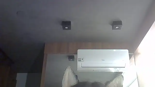 Skinny-Kitten online show from 02/15/26, 07:51