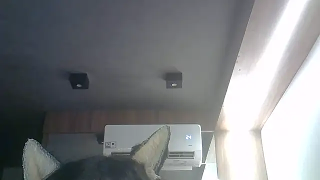 Skinny-Kitten online show from 04/01/26, 08:04