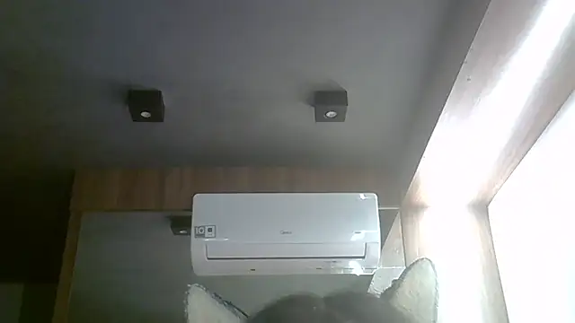 Skinny-Kitten online show from 04/03/26, 09:40