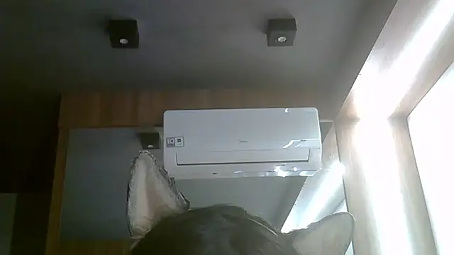Skinny-Kitten online show from 07/05/26, 06:04