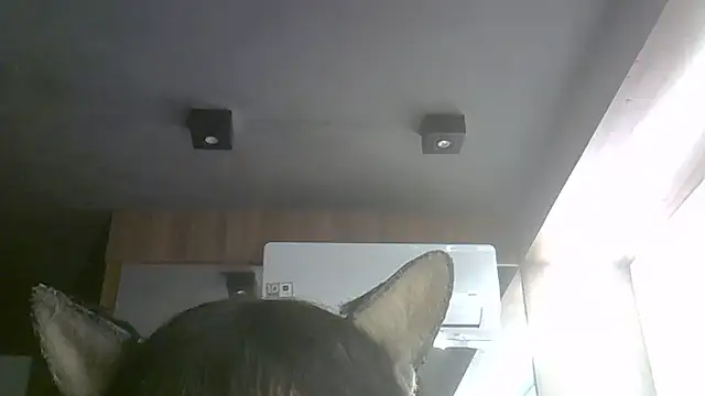 Skinny-Kitten online show from 07/09/26, 09:35