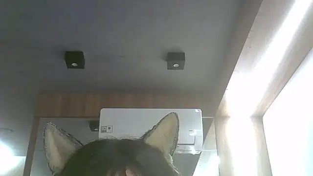 Skinny-Kitten online show from 07/17/26, 11:53