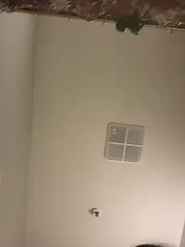 lofibunni online show from 04/11/26, 05:17