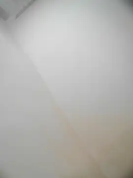 Snapshot of bestofyalcinturkey chatting on 12/22/24, 10:28 bestofyalcinturkey online show from 12/22/24, 10:28