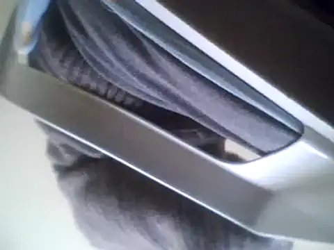 Snapshot of bestofyalcinturkey chatting on 03/03/25, 08:38 bestofyalcinturkey online show from 03/03/25, 08:38