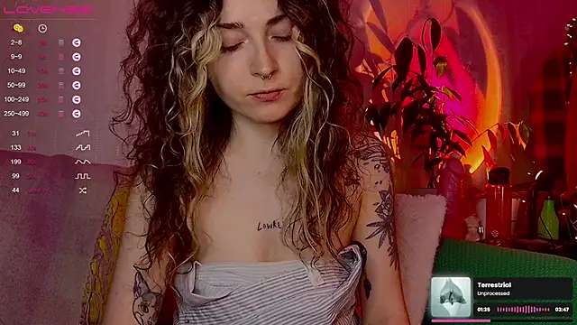 IttyKitty online show from 02/12/26, 11:55