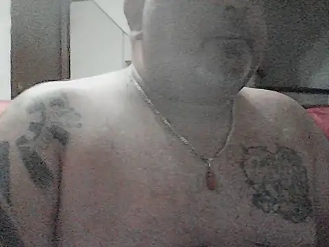 Paolino 8316 online show from 07/24/26, 11:14