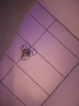 Charly  online show from 12/18/25, 05:13