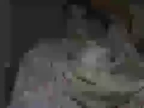 Snapshot of maxstelll chatting on 02/24/26, 04:21 maxstelll online show from 02/24/26, 04:21