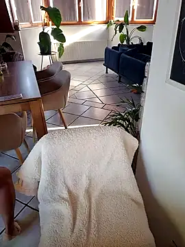 Isabellaa04 online show from 10/11/25, 02:15