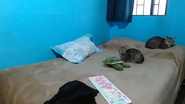 Snapshot of clarisse69 chatting on 03/18/25, 05:10 clarisse69 online show from 03/18/25, 05:10