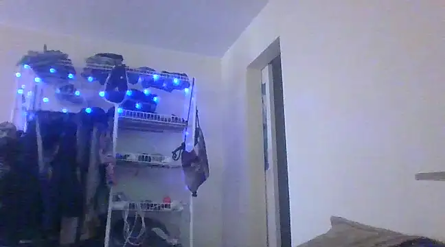 Snapshot of alphaswitchard chatting on 12/30/24, 02:40 alphaswitchard online show from 12/30/24, 02:40