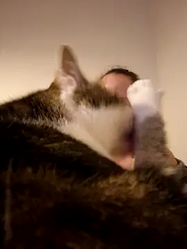 Wisie Cutie online show from 02/19/25, 11:04